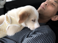 baby  Soya　(生後3ヶ月)