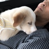 baby  Soya　(生後3ヶ月)