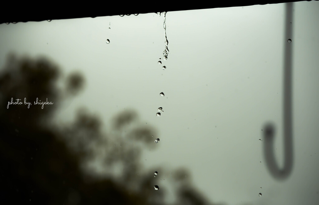 (実家にて)　『 雫 』