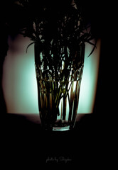 glass