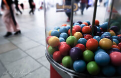 gumball