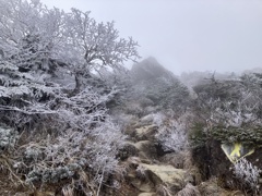 2024.11 早池峰山 岩手県