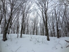2024.12 八方山 岩手県