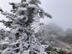 2024.11 早池峰山 岩手県
