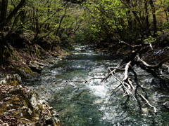 愛知川源流