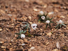 もう少し寝ます