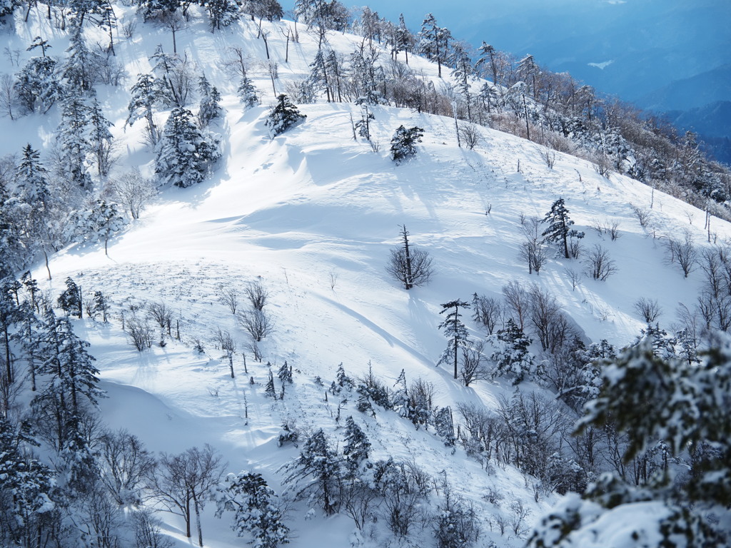 藪山の降雪