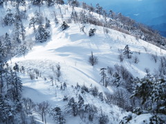 藪山の降雪