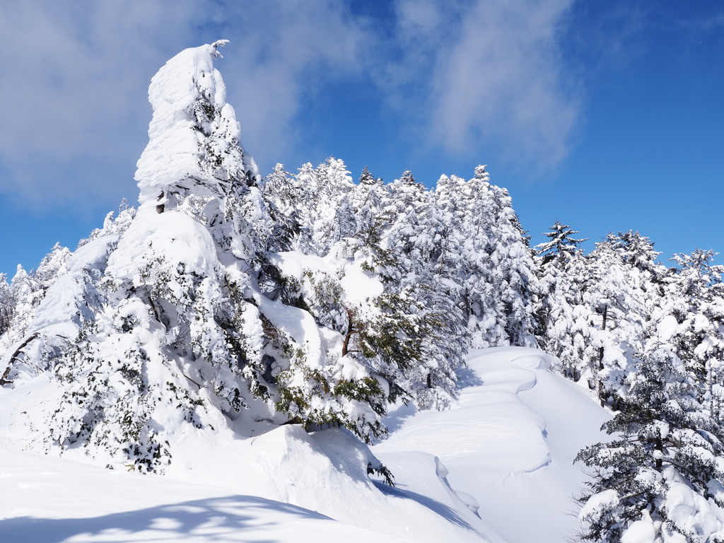 藪山の勧め　恩田大川入山