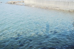 1月の海