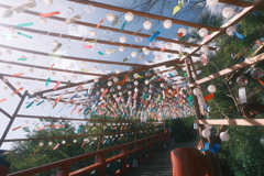 神社の風鈴