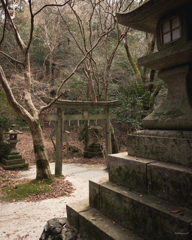 静寂の祈り