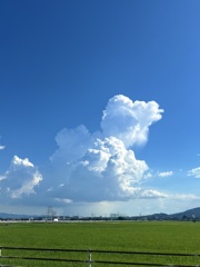 夏空青雲