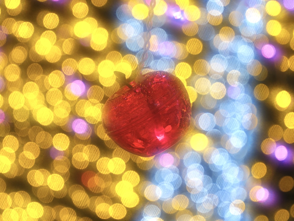 リンゴとイルミの光