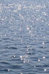 きらめく水面にとらわれて