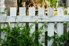 DSC00886