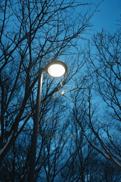 DSC03918