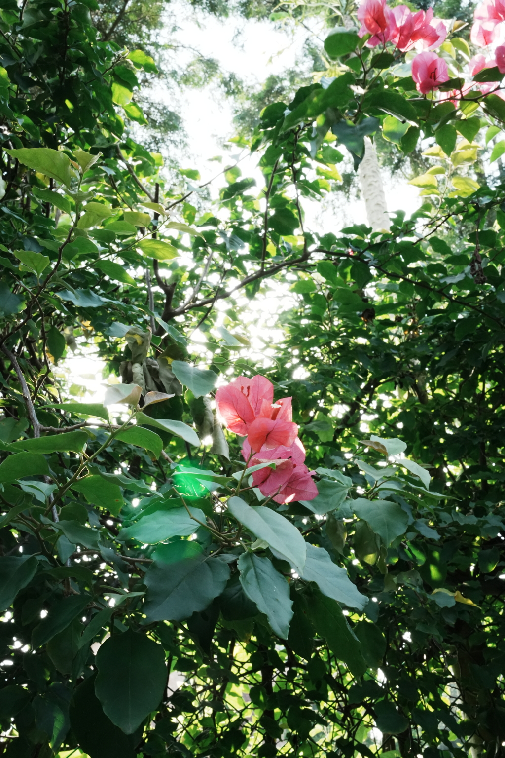 DSC00850