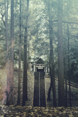 今山