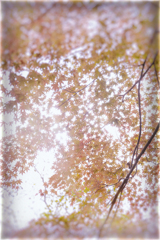 今山