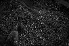 Breach of Order（秩序の破壊）