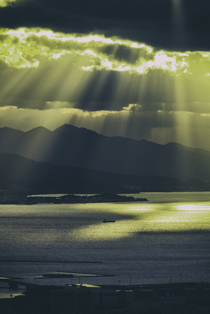 光りのシャワー