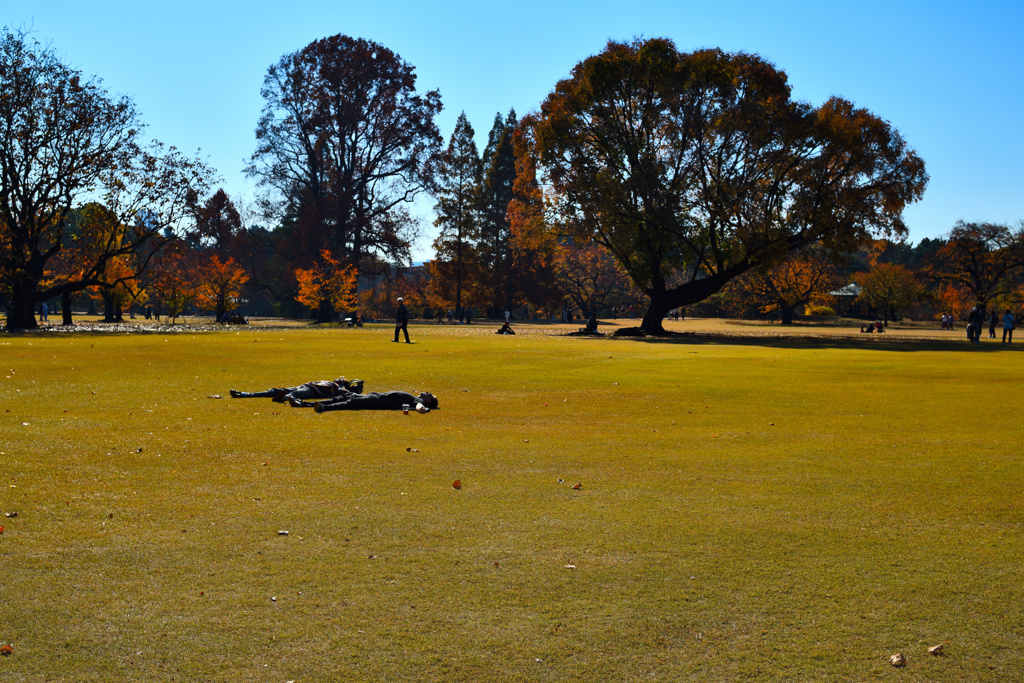 今日は良い天気