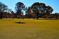 今日は良い天気