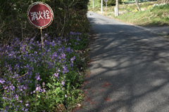 里山集落