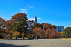 都会のオアシス