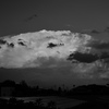 夏の雲