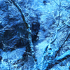 渓谷雪化粧２