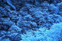 渓谷雪化粧