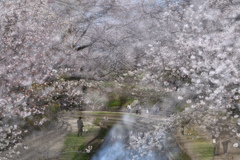 春霞