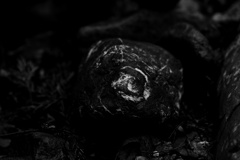 丸