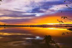 利根川の夜明け