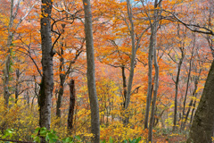 静かに四季(とき)は移り