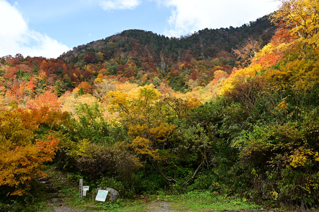 称名滝周辺の紅葉2