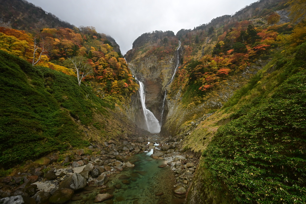 称名滝周辺の紅葉5