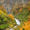 称名滝周辺の紅葉3
