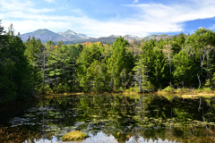 秋でも緑多めの池