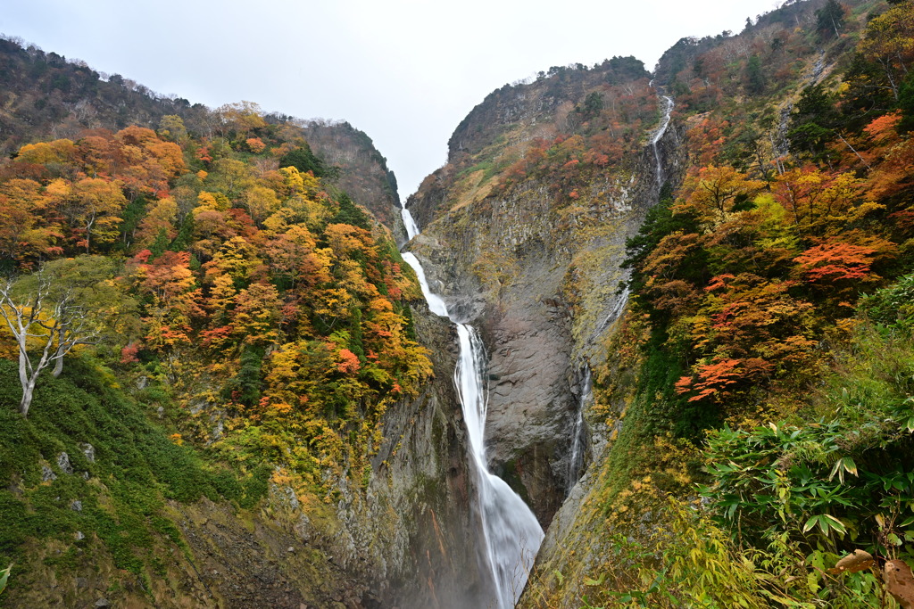 称名滝周辺の紅葉4