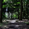 七尾城跡