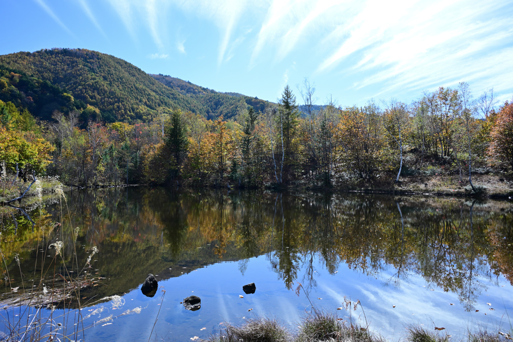 放射線状の・・・