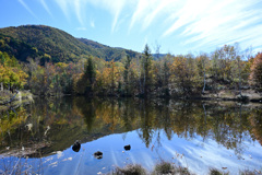 放射線状の・・・