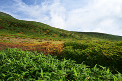 白山の紅葉