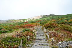 白山の紅葉