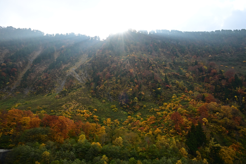 称名滝周辺の紅葉1