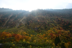 称名滝周辺の紅葉1