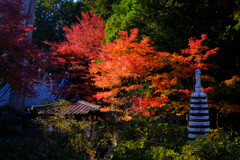 晩秋の山寺＃１